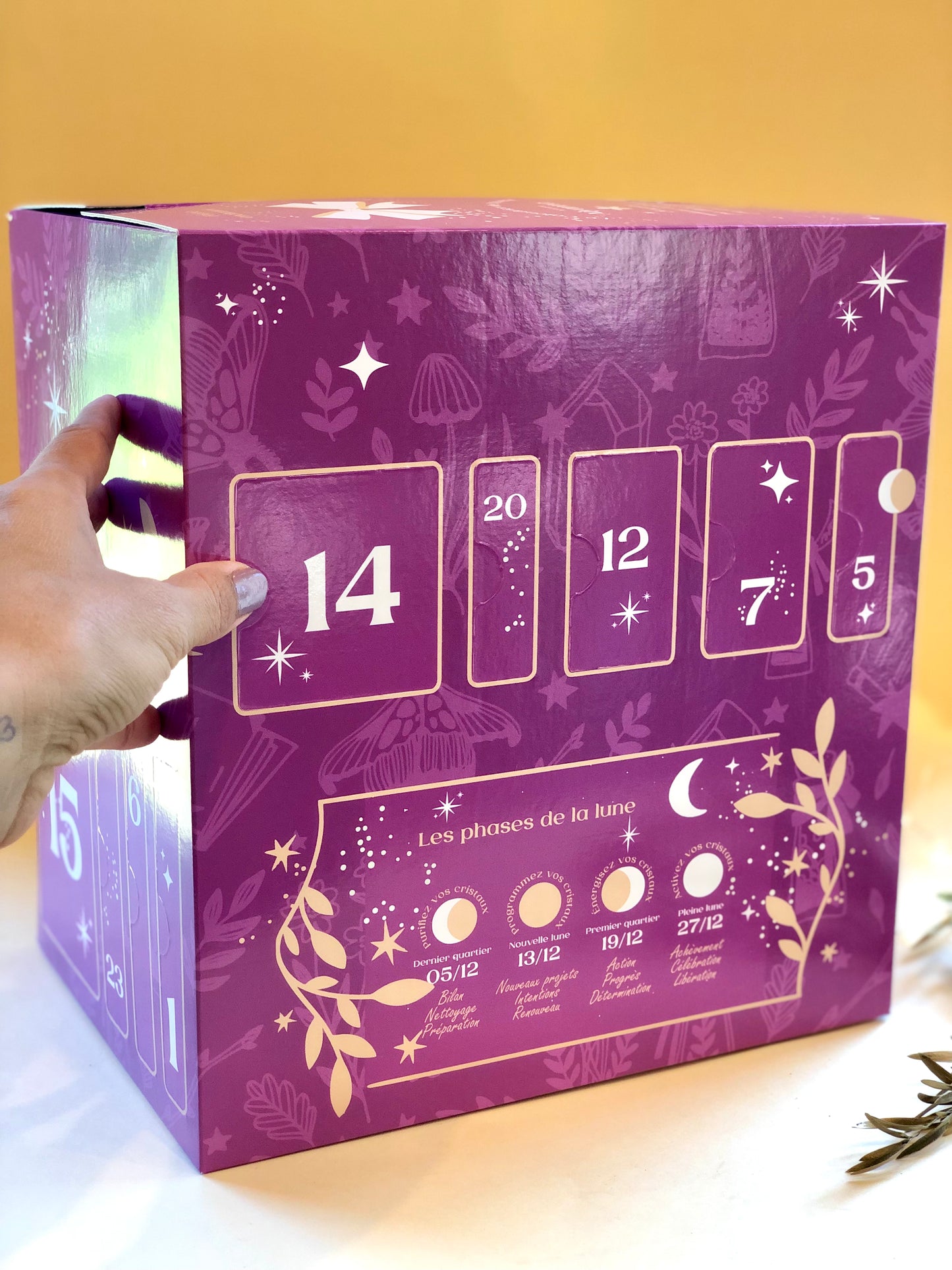 CALENDRIER DE L'AVENT 2023 - Précommande