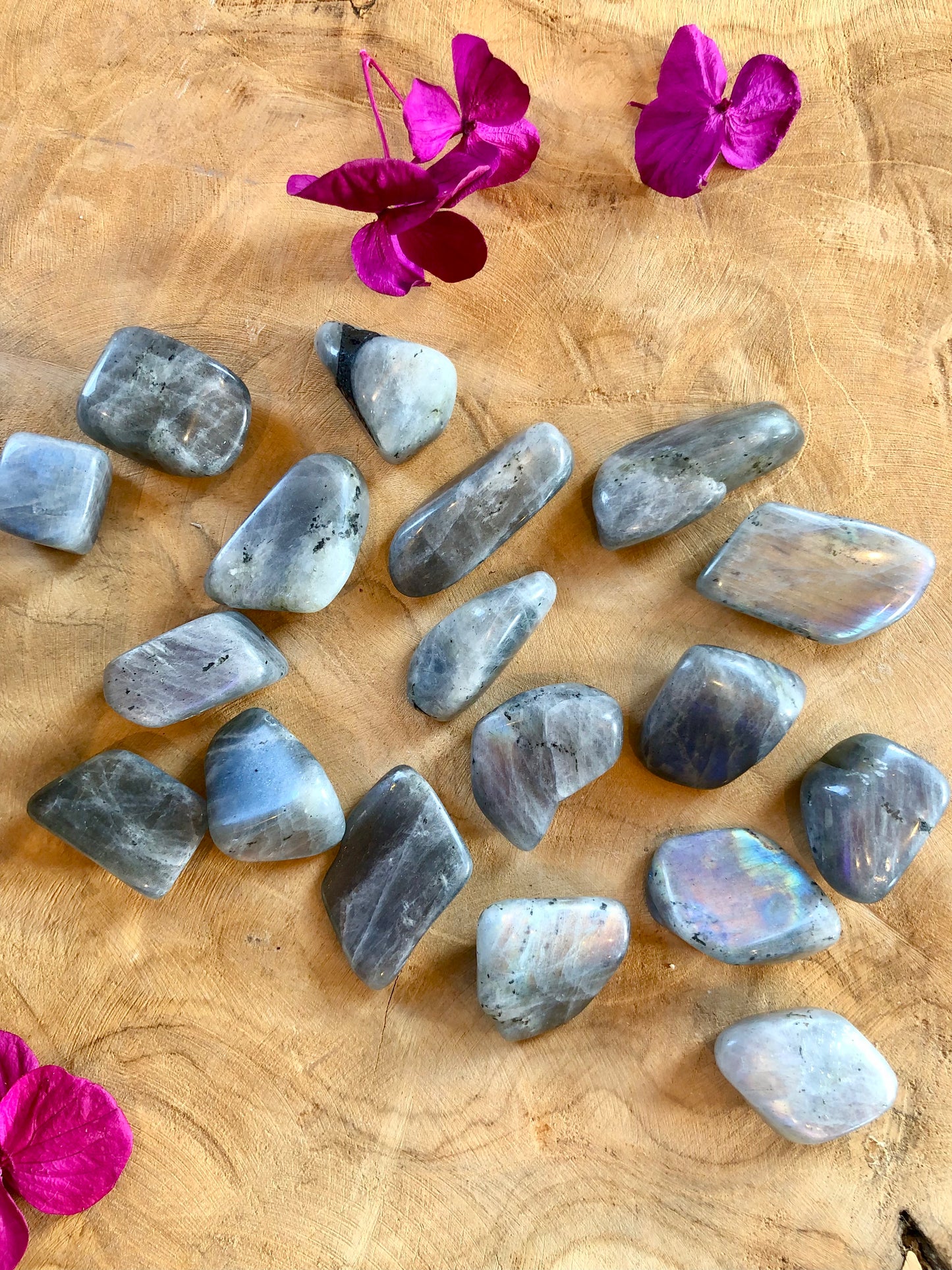 LABRADORITE ARC-EN-CIEL - Pierre roulée - Protection & Équilibre