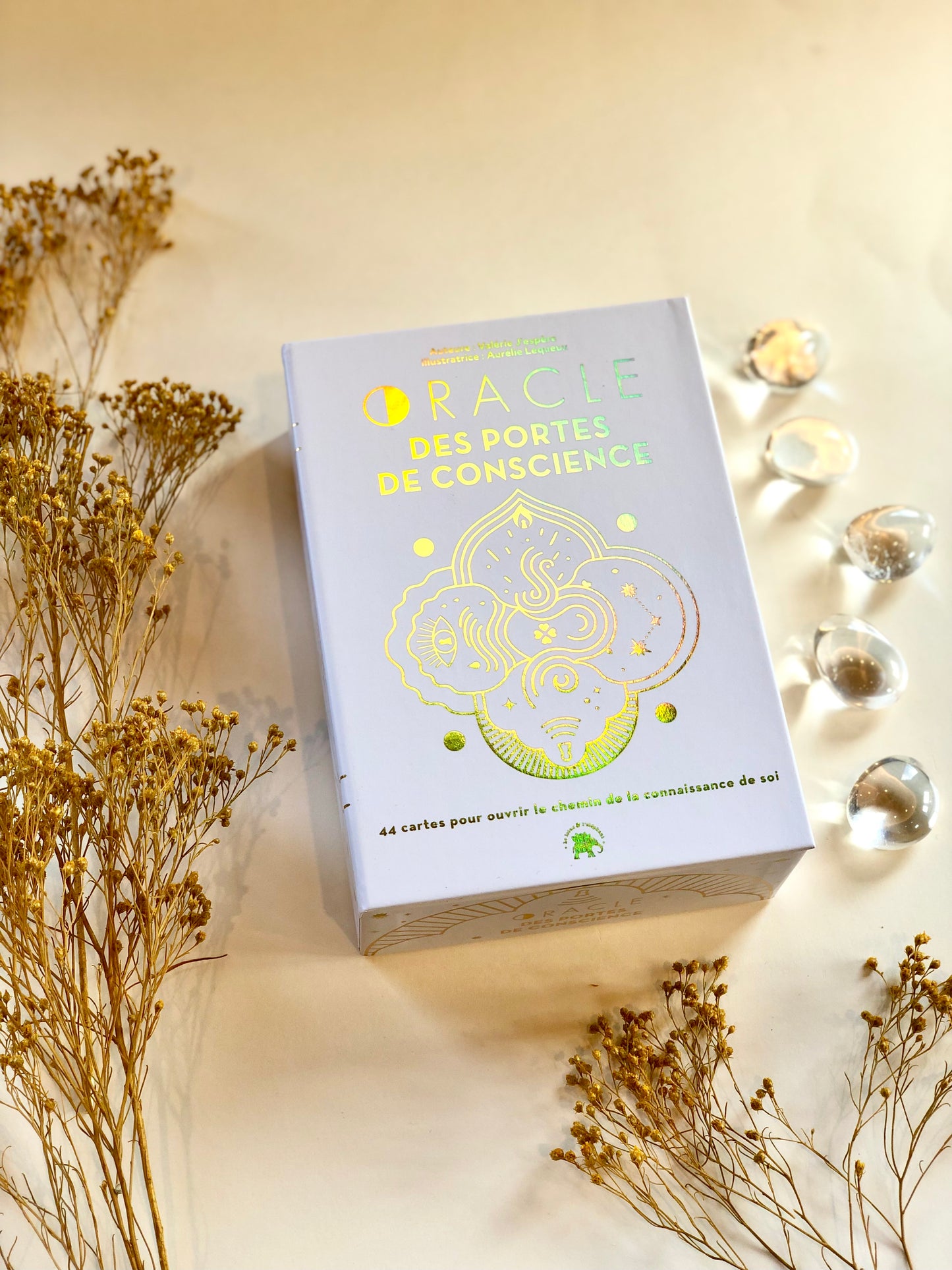 ORACLE DES PORTES DE CONSCIENCE