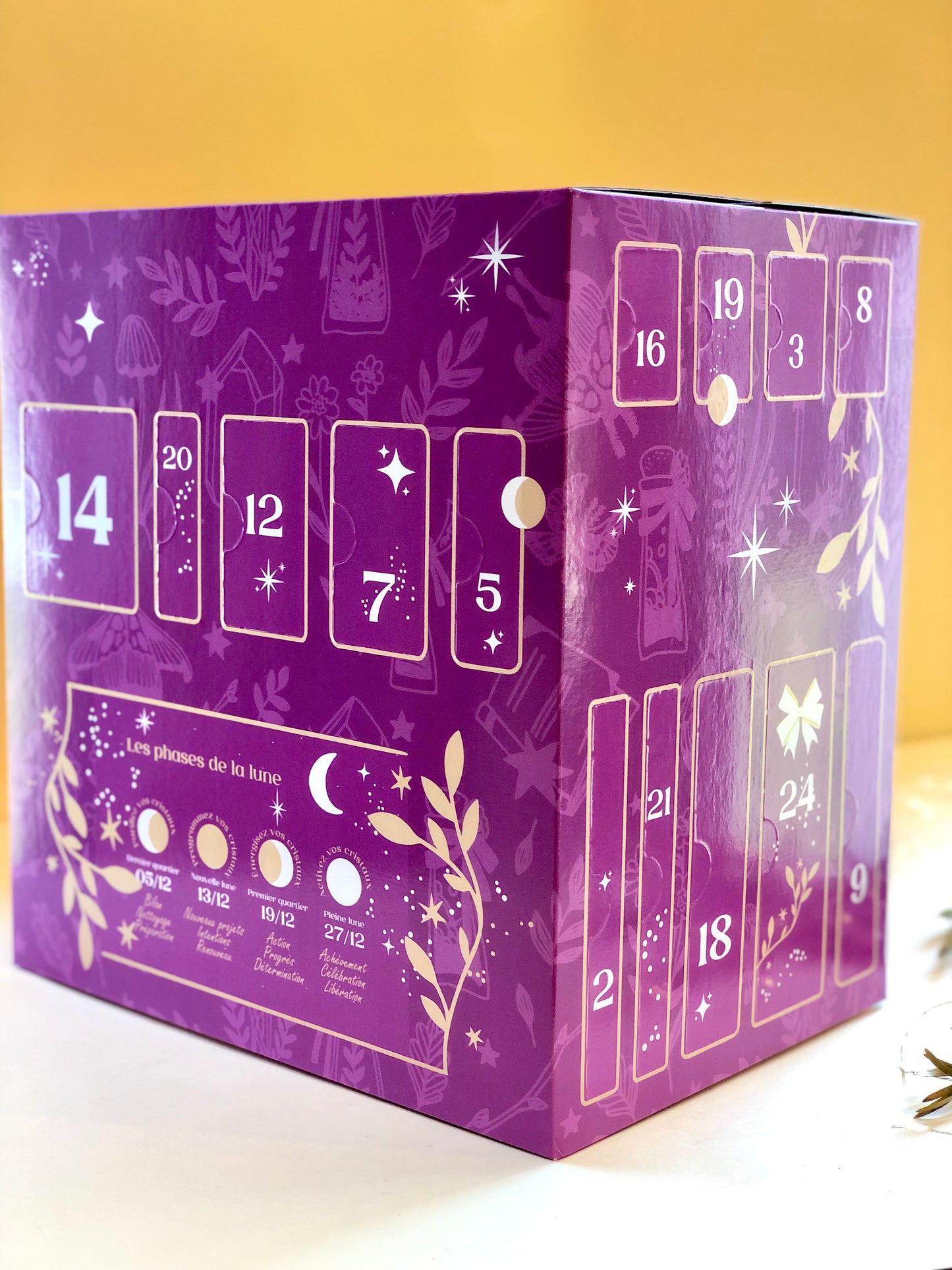 CALENDRIER DE L'AVENT 2023 - Précommande