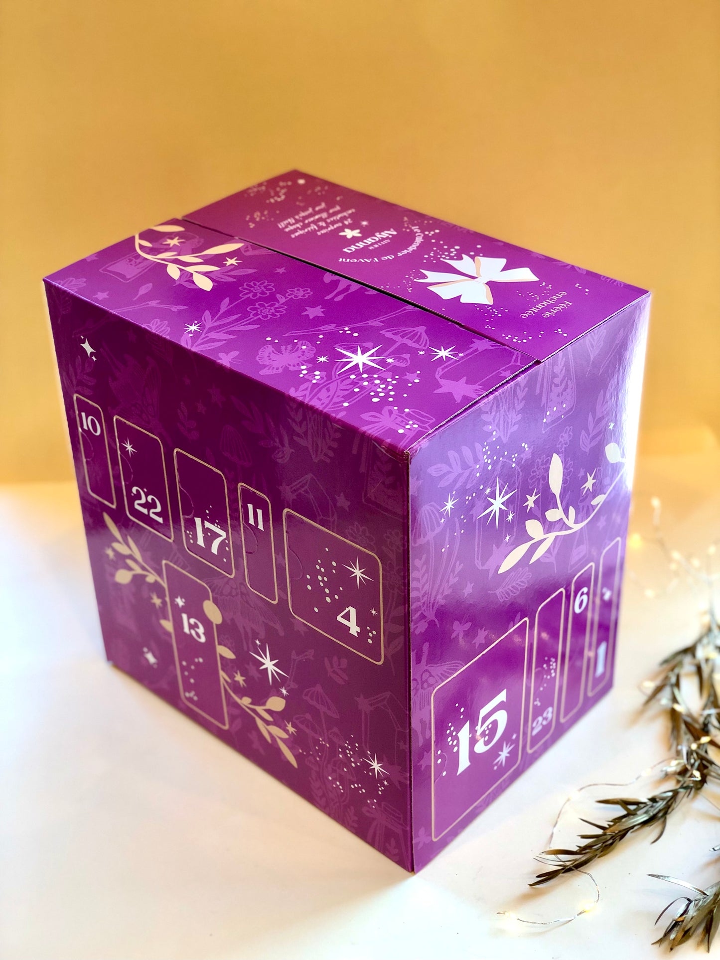 CALENDRIER DE L'AVENT 2023 - Précommande
