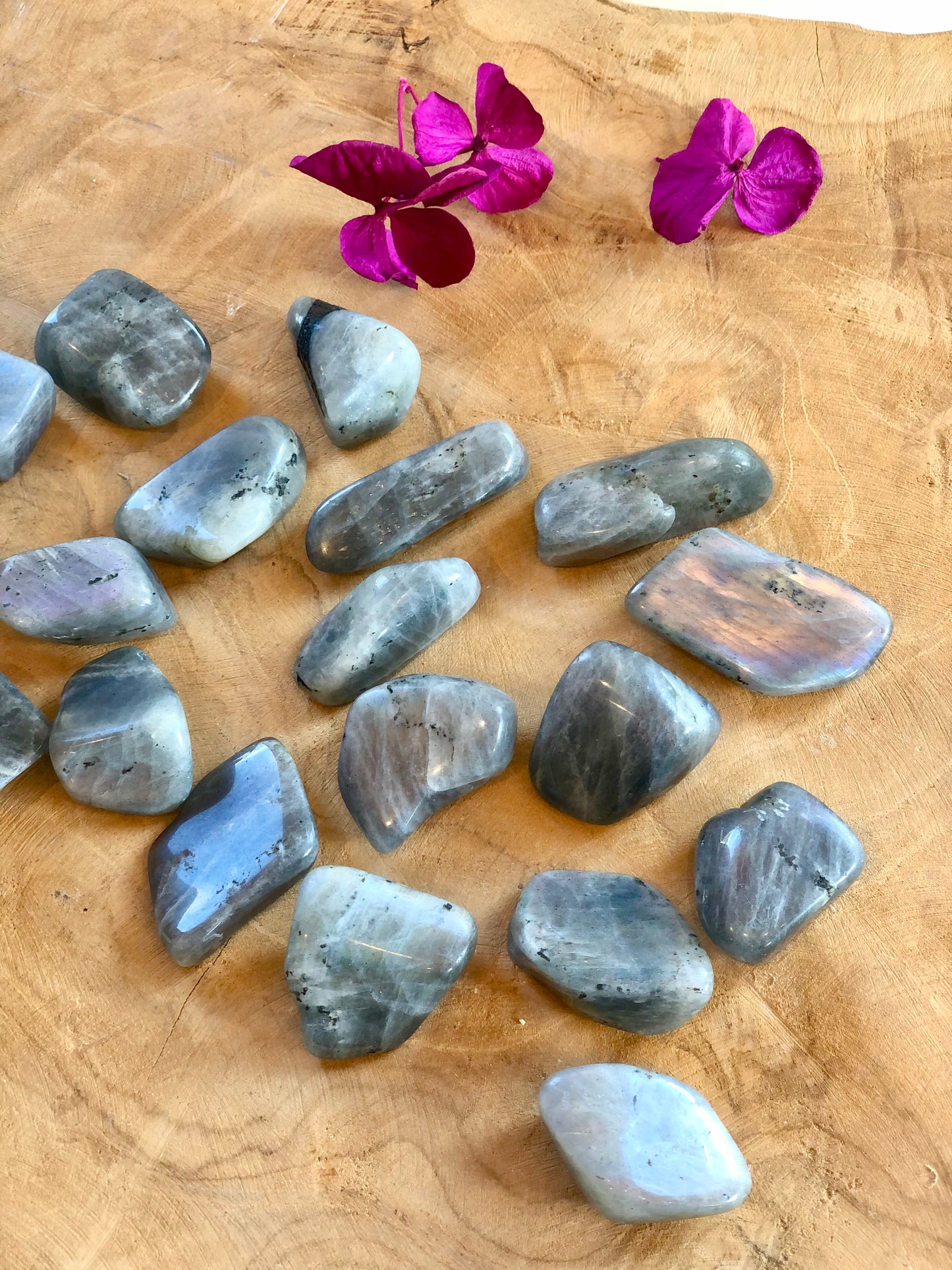 LABRADORITE ARC-EN-CIEL - Pierre roulée - Protection & Équilibre