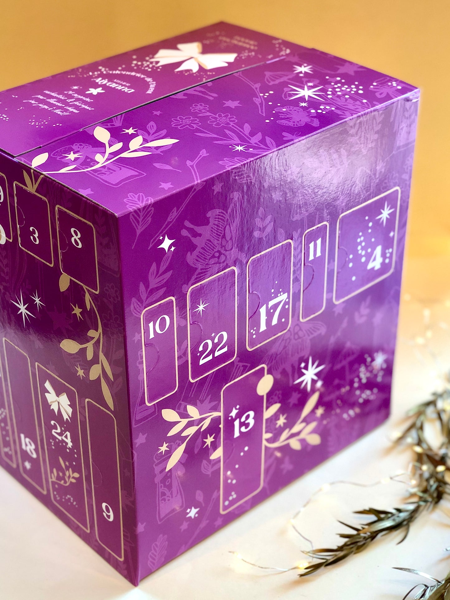 CALENDRIER DE L'AVENT 2023 - Précommande