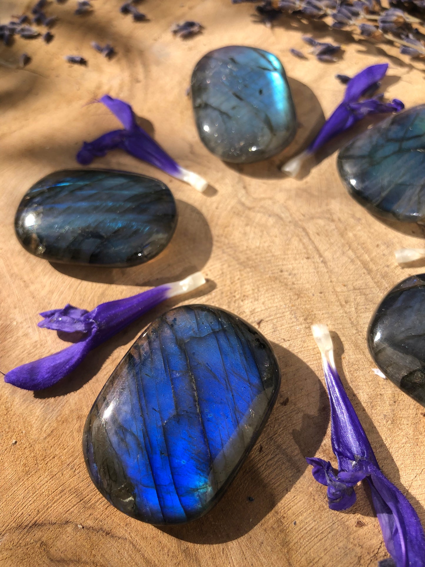 LABRADORITE BLEUE - Galet façon bijouterie