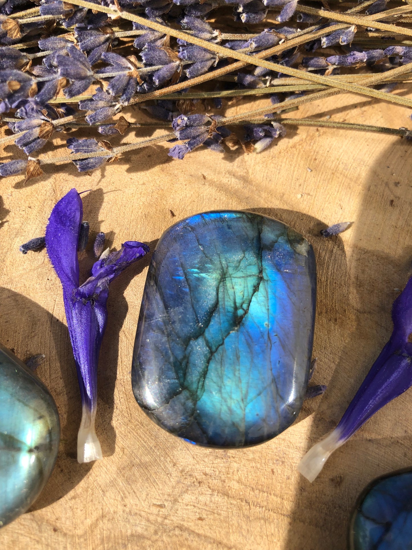 LABRADORITE BLEUE - Galet façon bijouterie