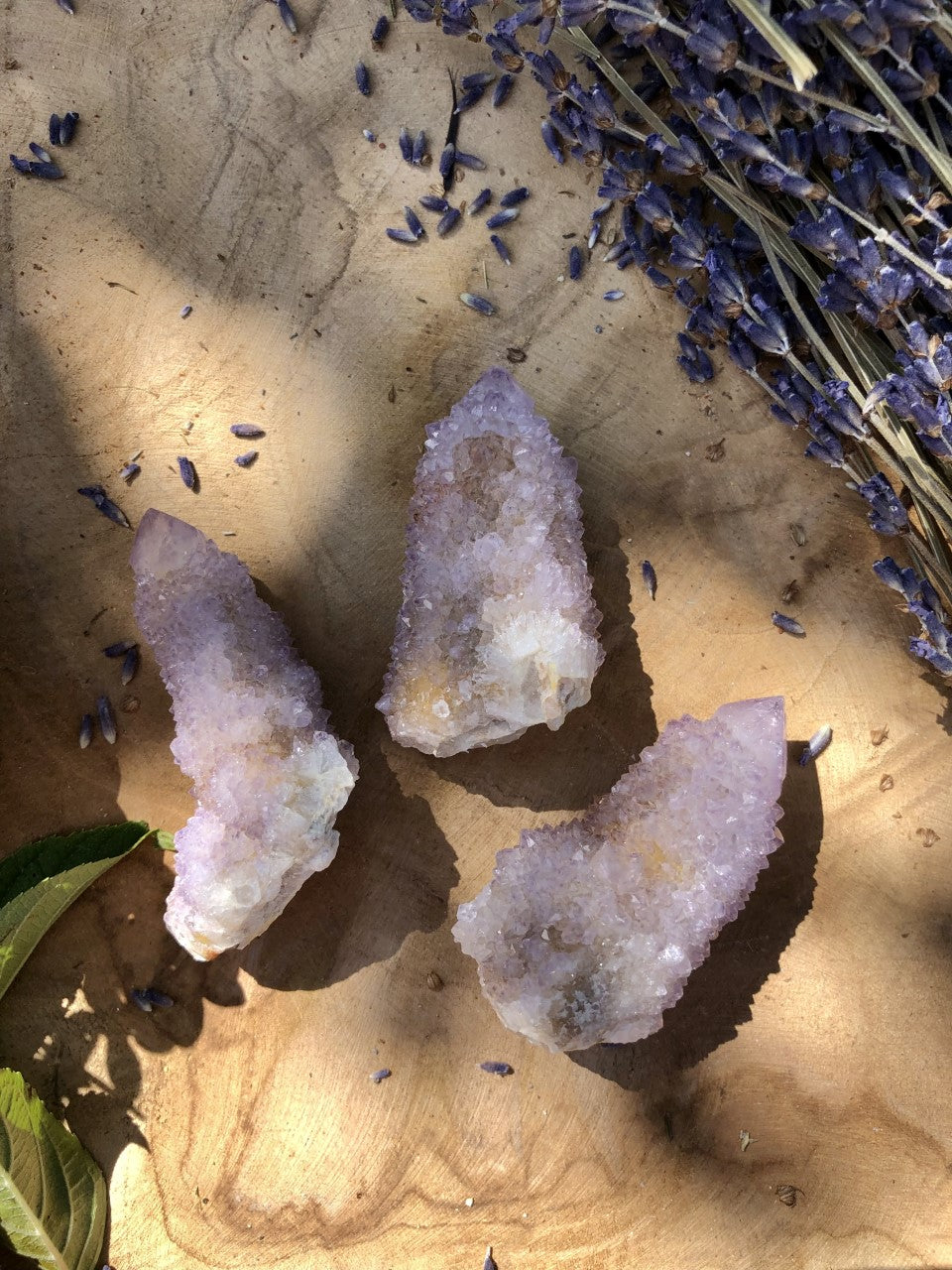 AMÉTHYSTE CACTUS - Spirit Quartz 5/6cm