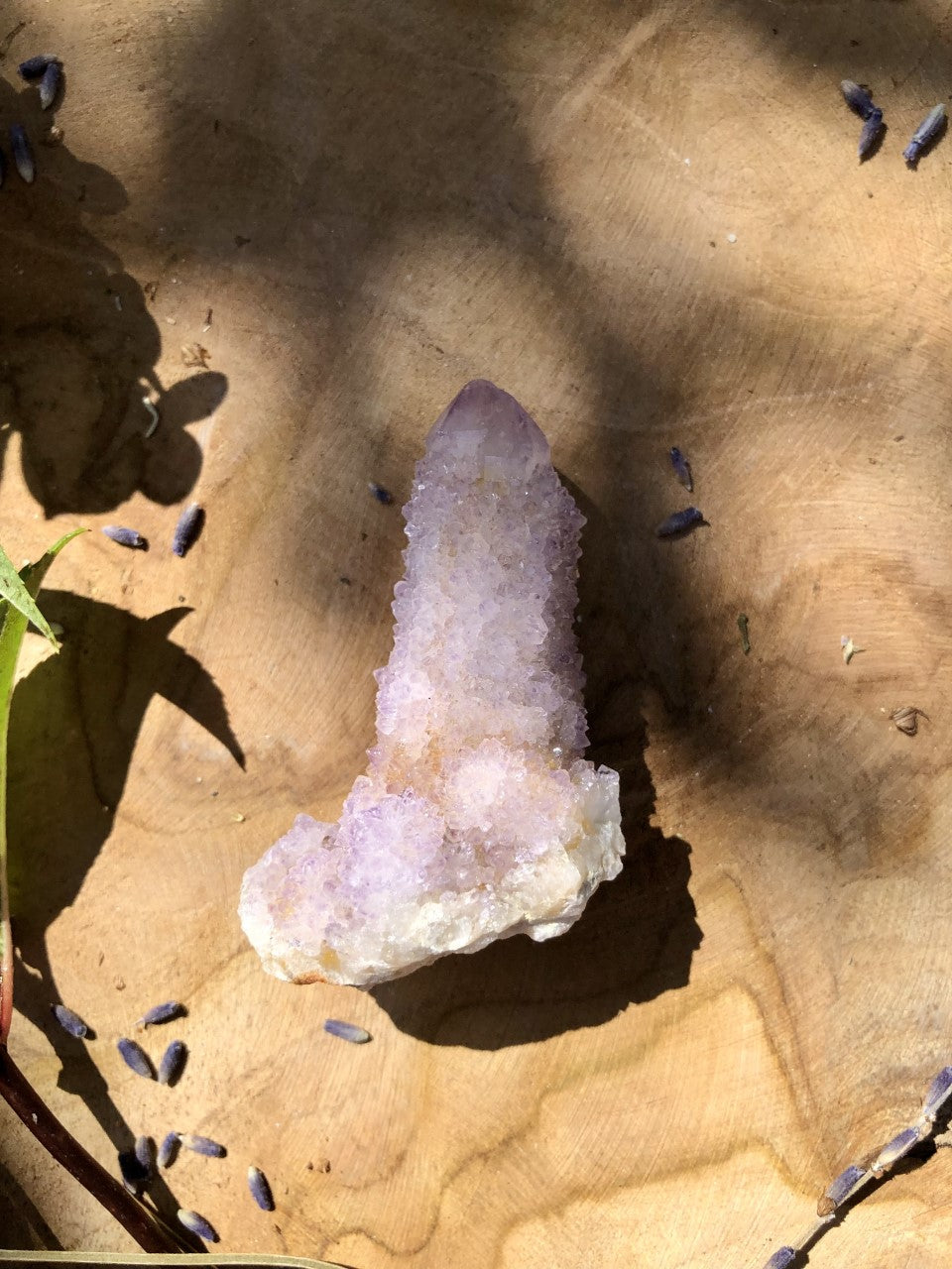 AMÉTHYSTE CACTUS - Spirit Quartz 5/6cm