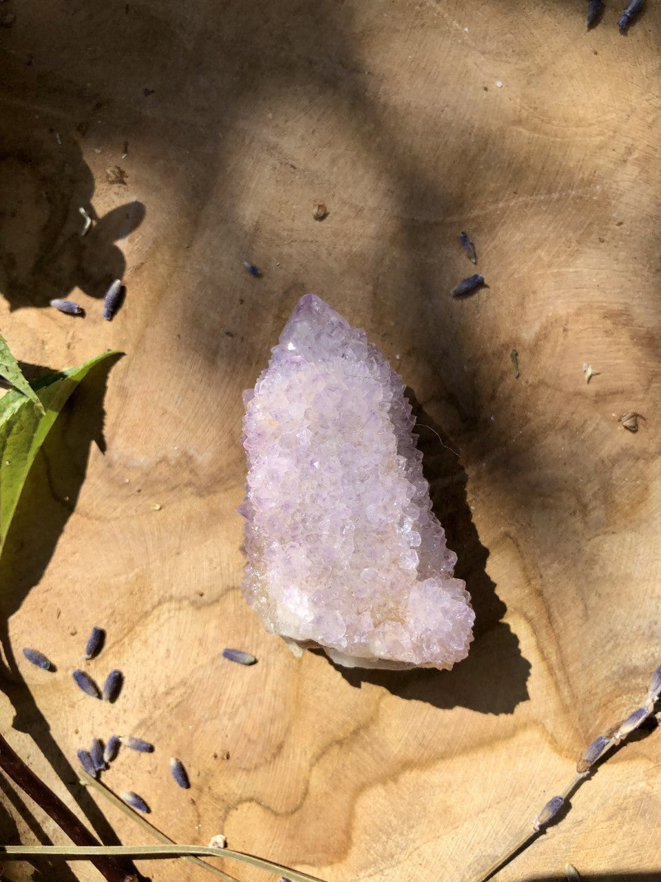 AMÉTHYSTE CACTUS - Spirit Quartz 5/6cm