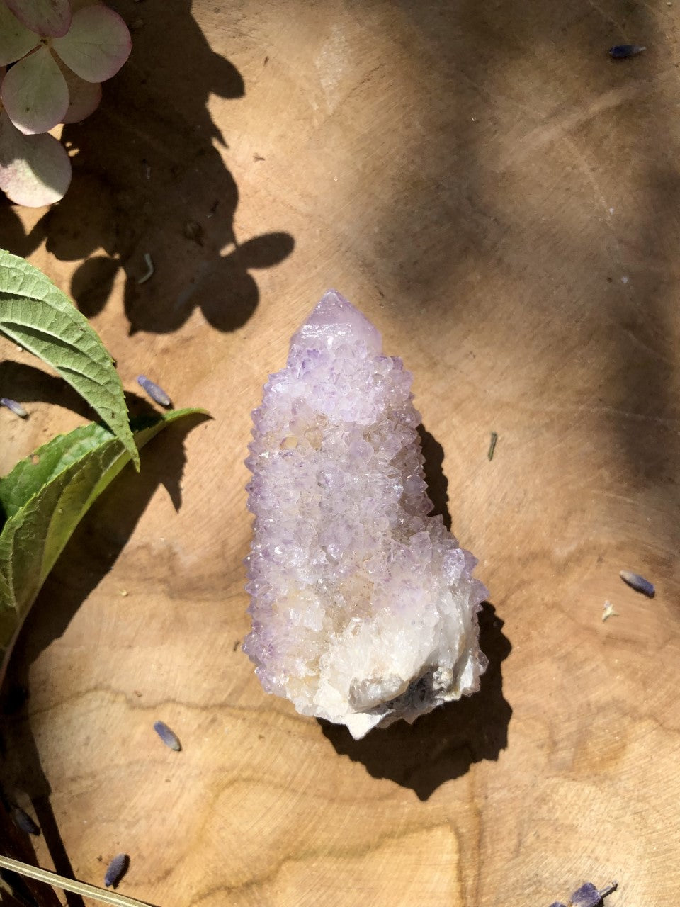 AMÉTHYSTE CACTUS - Spirit Quartz 5/6cm