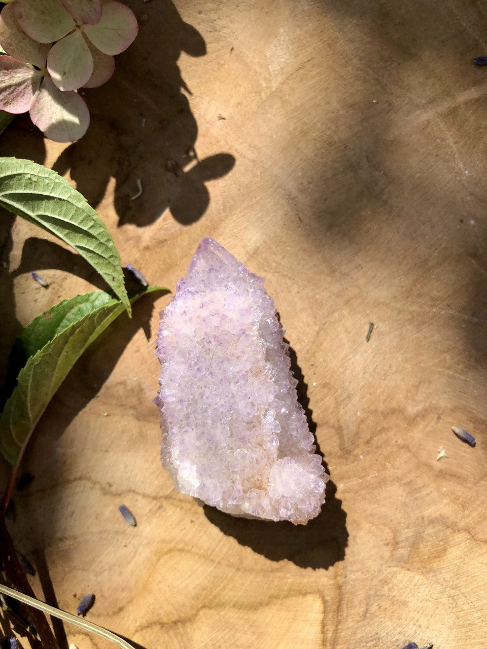 AMÉTHYSTE CACTUS - Spirit Quartz 5/6cm
