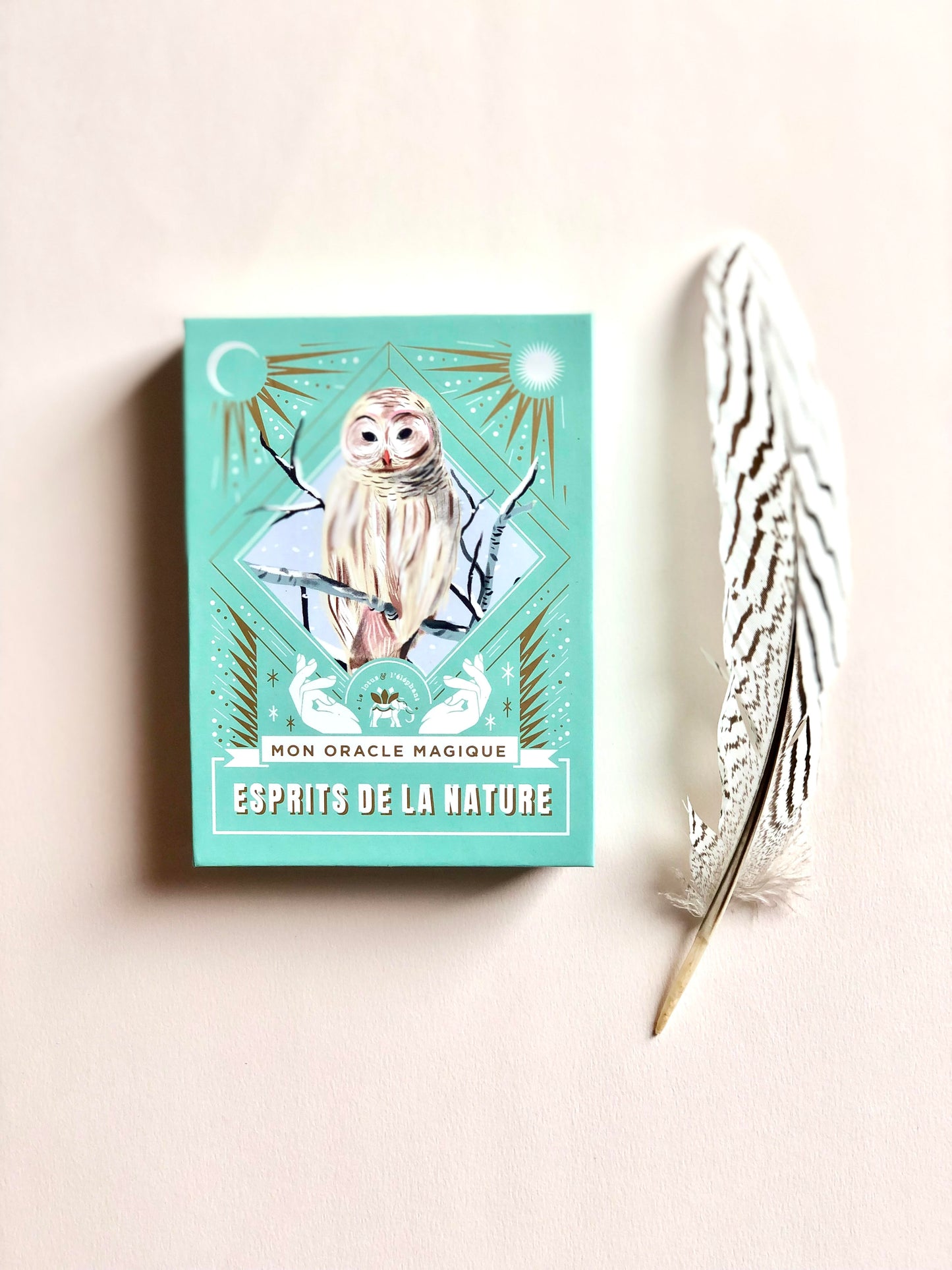 MON ORACLE MAGIQUE : ESPRITS DE LA NATURE