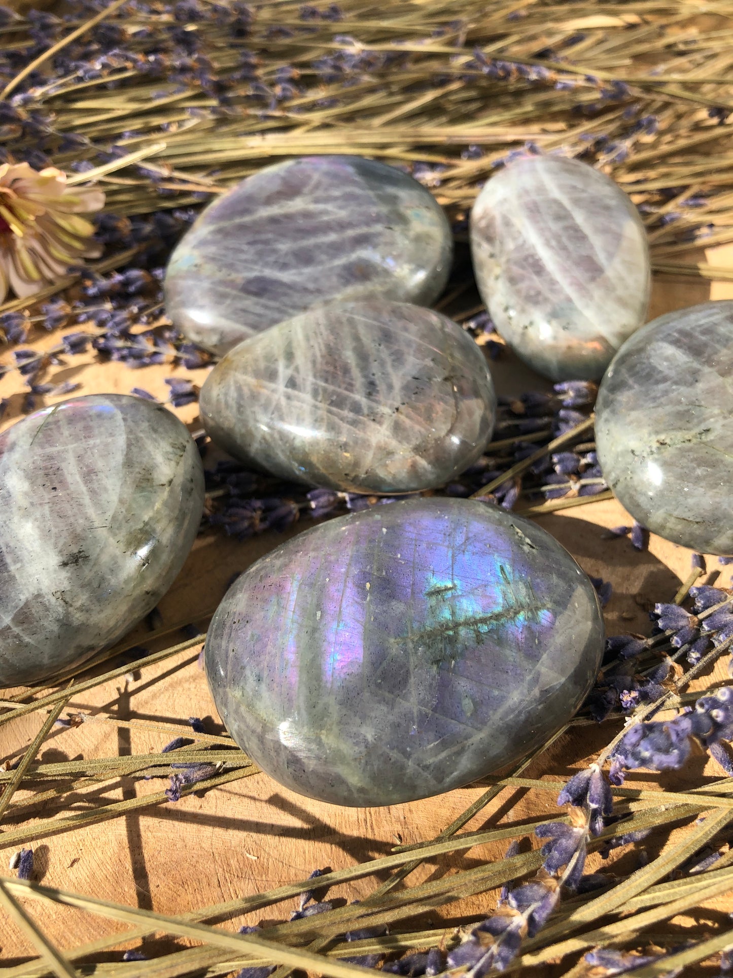 LABRADORITE VIOLETTE - Galet